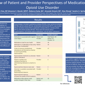 icoo.20.pp.0051_ICOO Poster_Cioe_150DPI