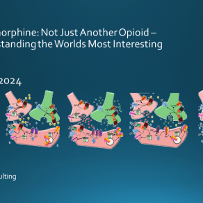 20240722 BUPE2024 final DS RUbinstein_Slide1