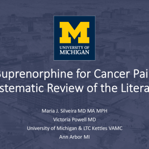 Silveira_BUP conference slides FINAL Slide 1